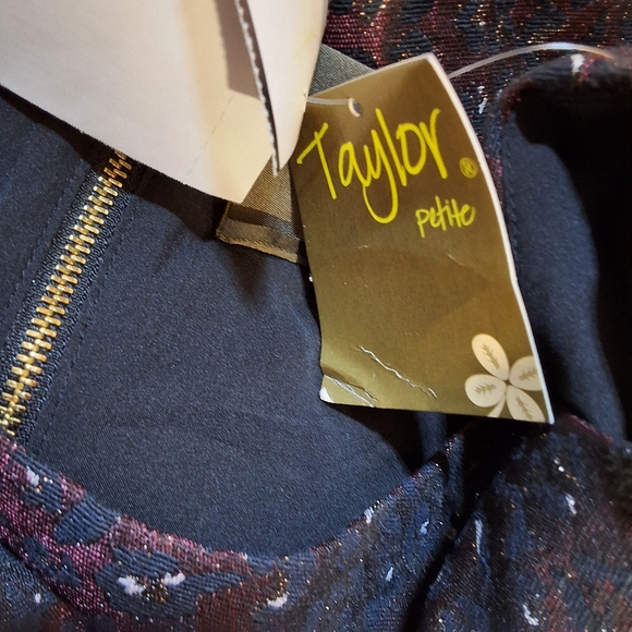 NWT TAYLOR ZIPPERED SLEEVELESS JEWEL NECK ABOVE KNEE FIT + FLARE DRESS - Picture 9 of 12